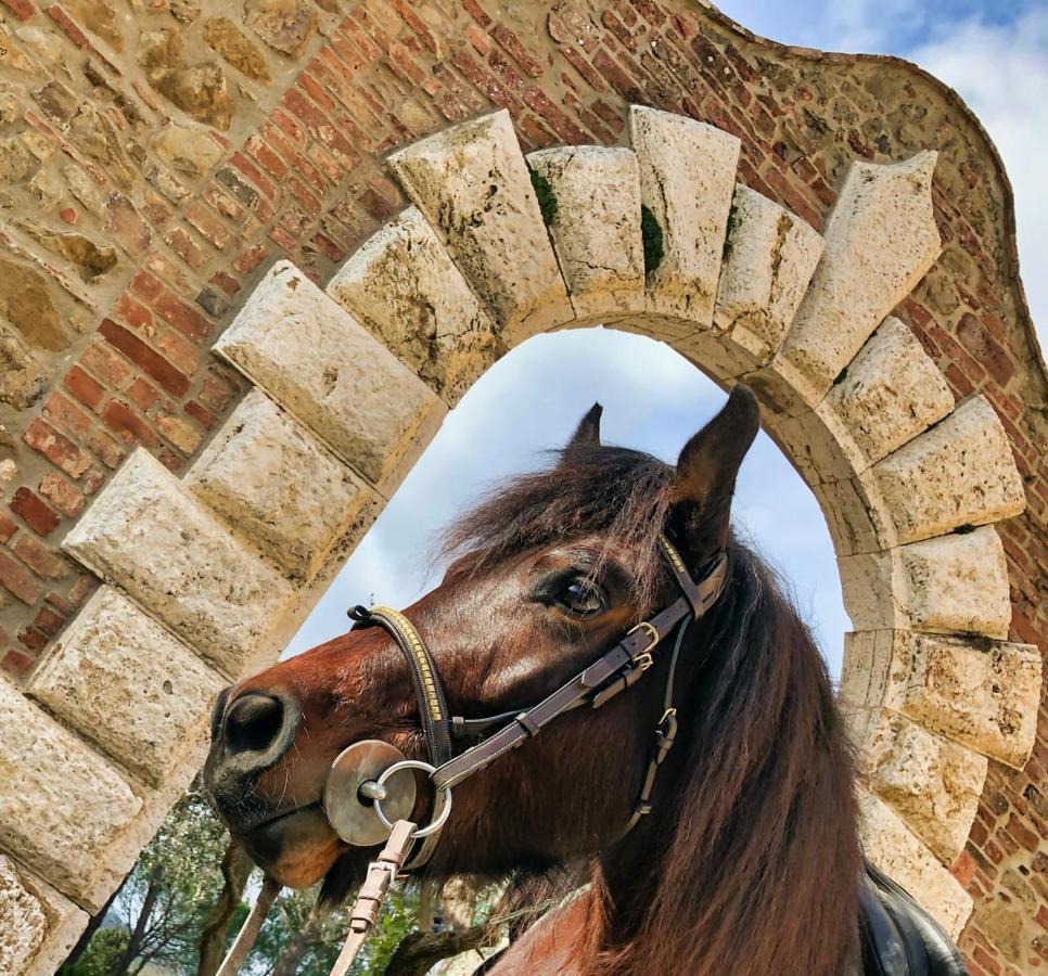 Tenuta I Mandorli Peccioli Luaran gambar